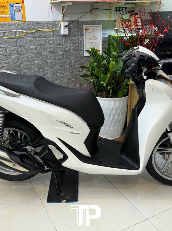 SH 160 abs 2024 1000km bstp
