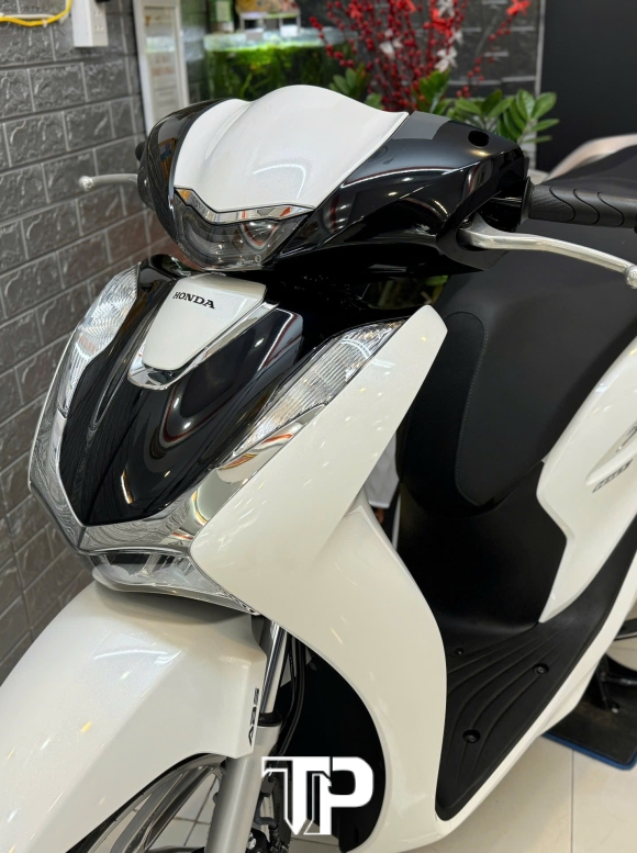 SH 160 abs 2024 1000km bstp