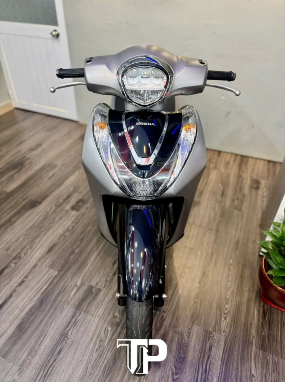 Shmode abs 2022 bs 53507